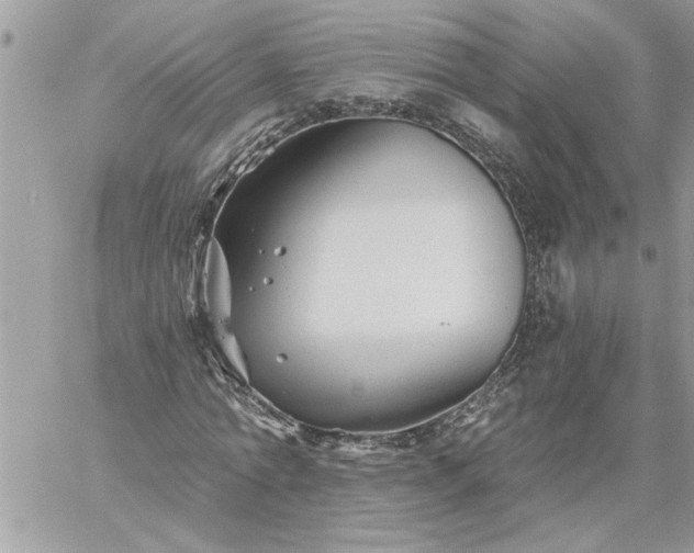 X0000059080774200510172029