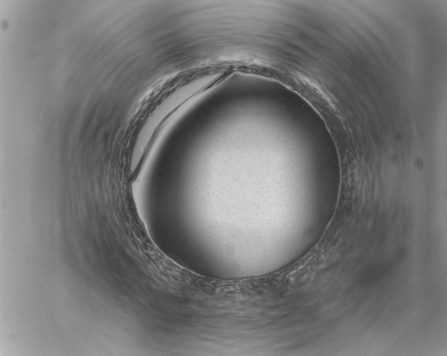 X0000059080776200510172029