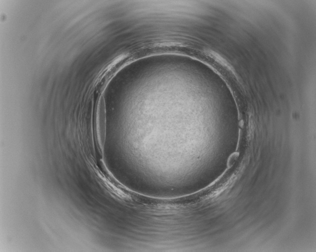 X0000059080777200510172029