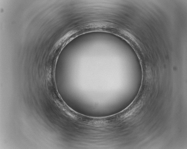 X0000059080778200510172029