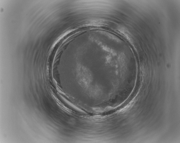 X0000059080779200510172028