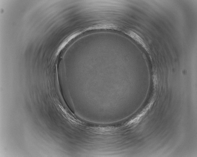 X0000059080781200510172028