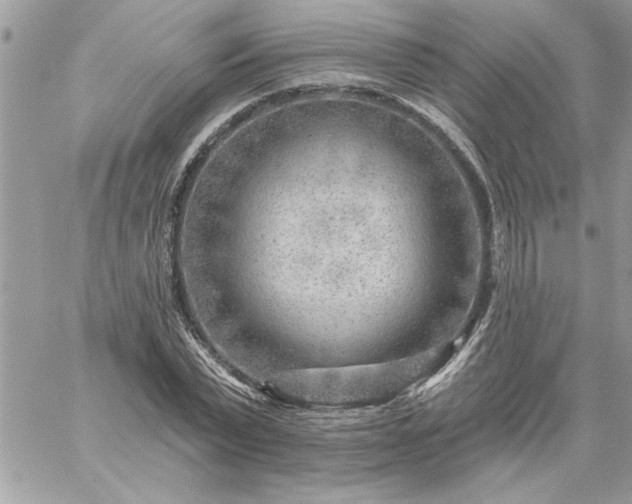 X0000059080783200510172028