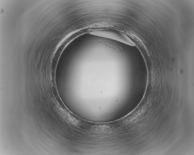 X0000059080784200510172028