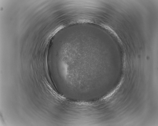 X0000059080785200510172028