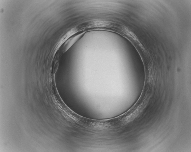 X0000059080786200510172028