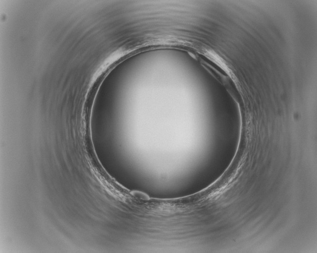 X0000059080787200510172028