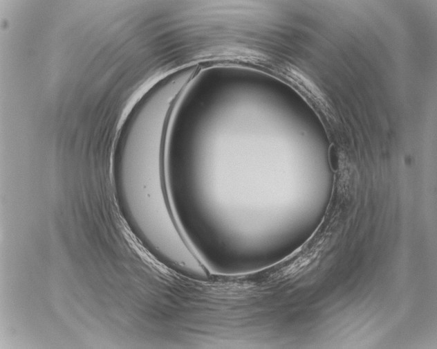 X0000059080788200510172028