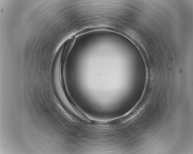 X0000059080789200510172028