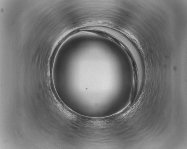 X0000059080792200510172028