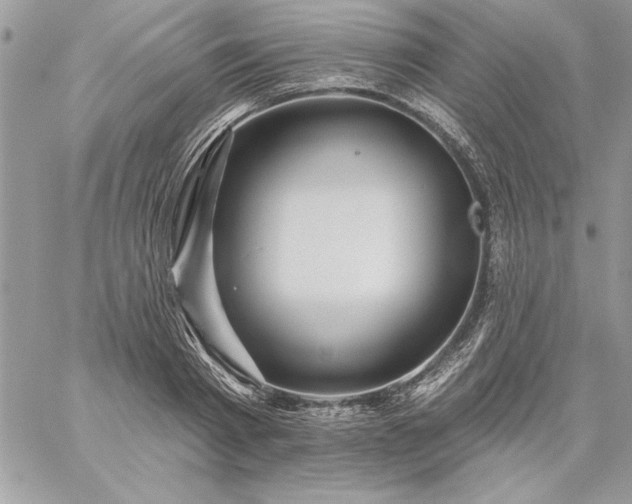 X0000059080793200510172028