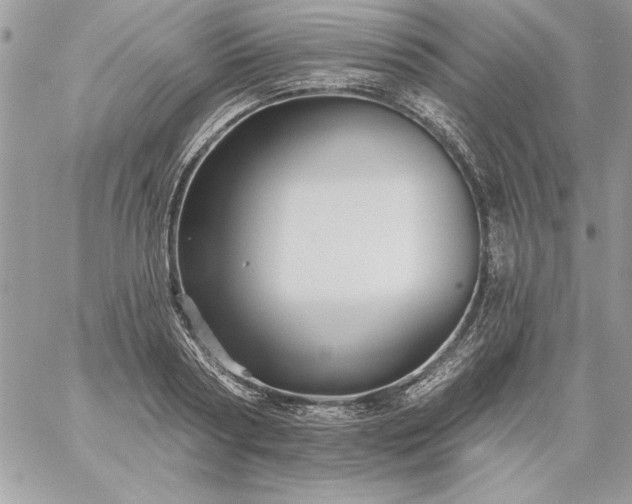 X0000059080794200510172028