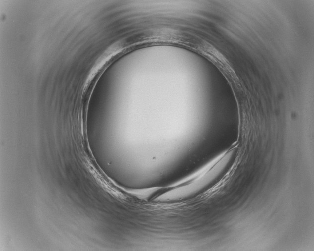 X0000059080796200510172028