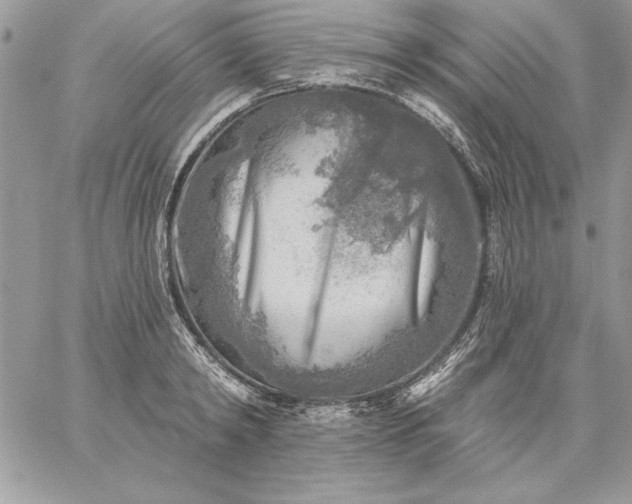 X0000059080798200510172028