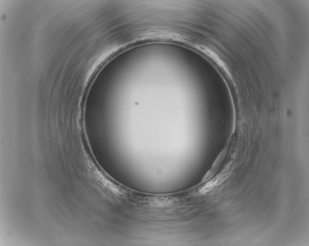 X0000059080799200510172028