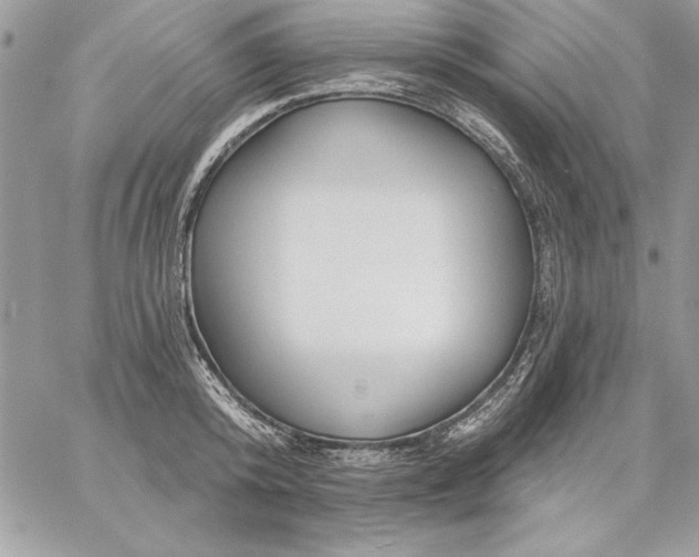 X0000059080800200510172028