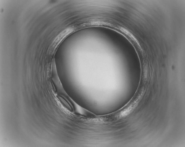 X0000059080801200510172028