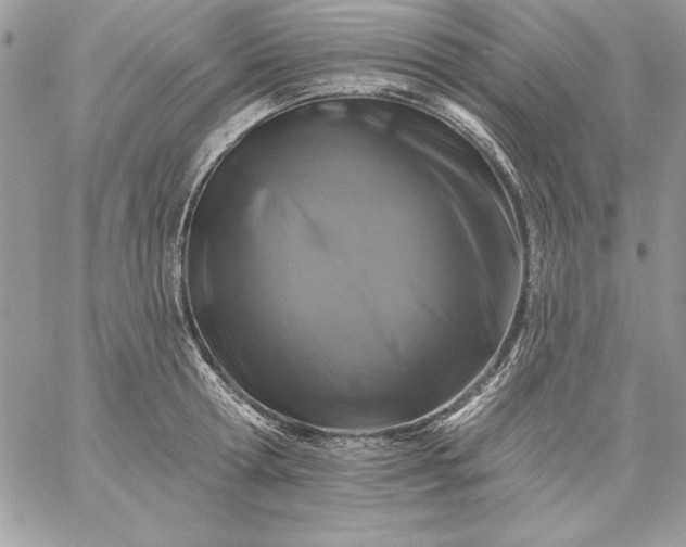 X0000059080802200510172028