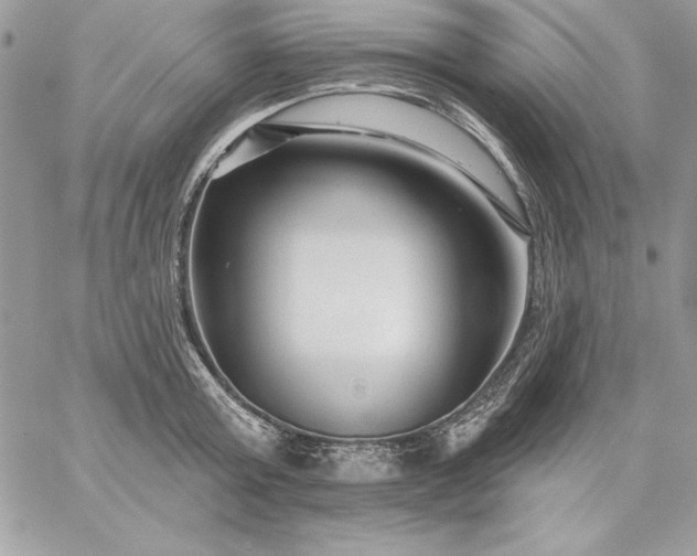 X0000059080803200510172028