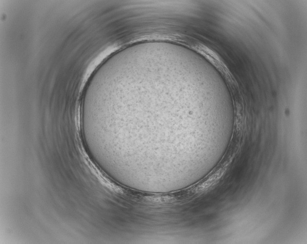 X0000059080804200510172028