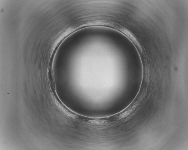 X0000059080805200510172028