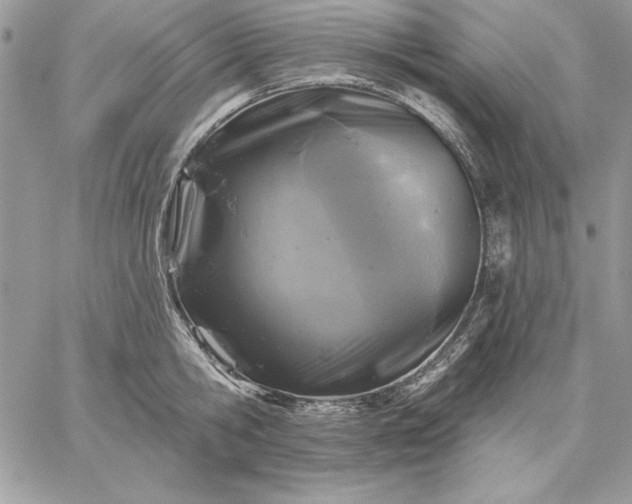 X0000059080806200510172028