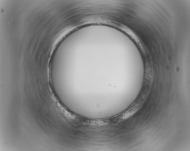 X0000059080807200510172028