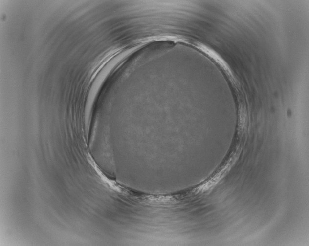 X0000059080809200510172028