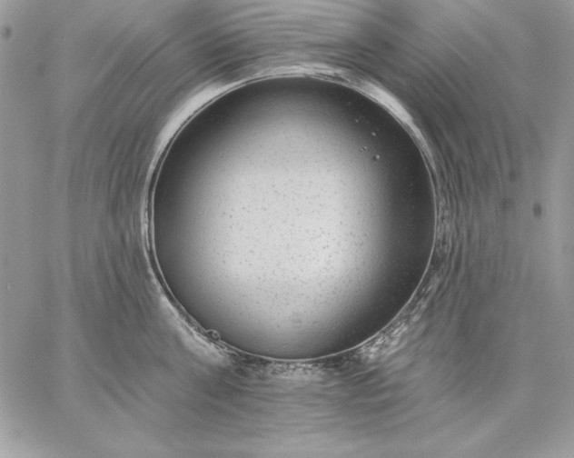 X0000059080811200510172028