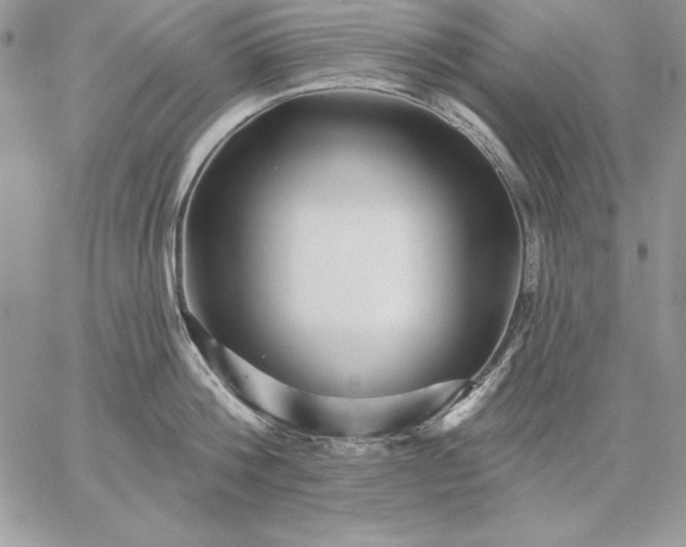 X0000059080812200510172028