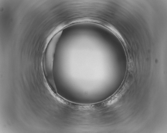 X0000059080813200510172028