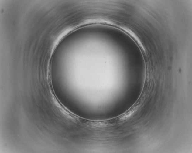 X0000059080815200510172028