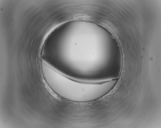 X0000059080816200510172028