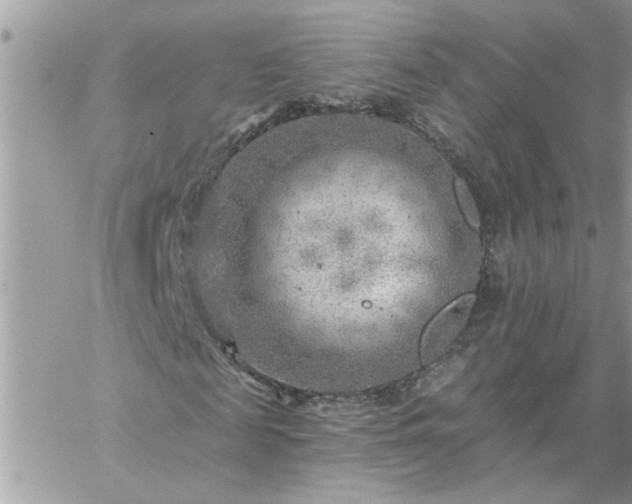 X0000059080817200510172027