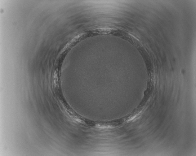 X0000059080818200510172027