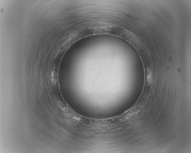 X0000059080819200510172027