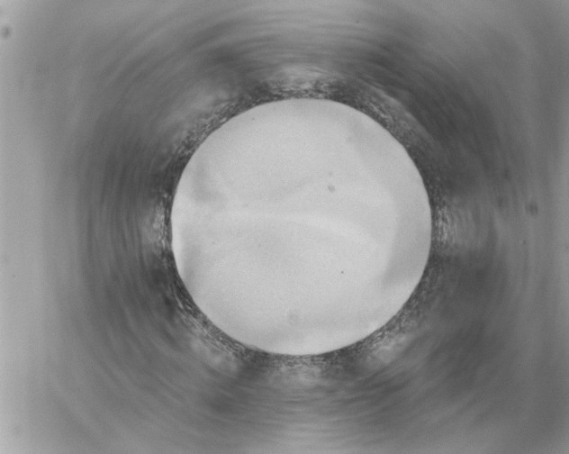 X0000059080820200510172027