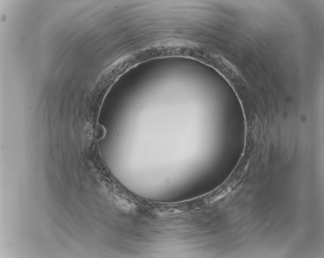 X0000059080821200510172027