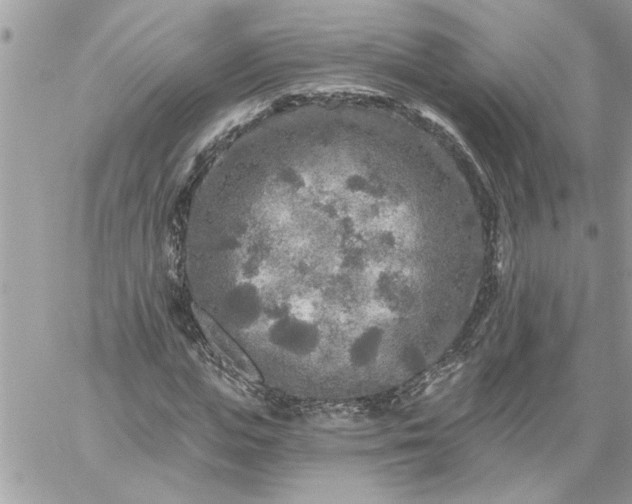 X0000059080823200510172027