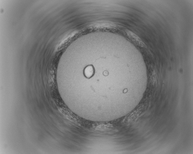 X0000059080824200510172027