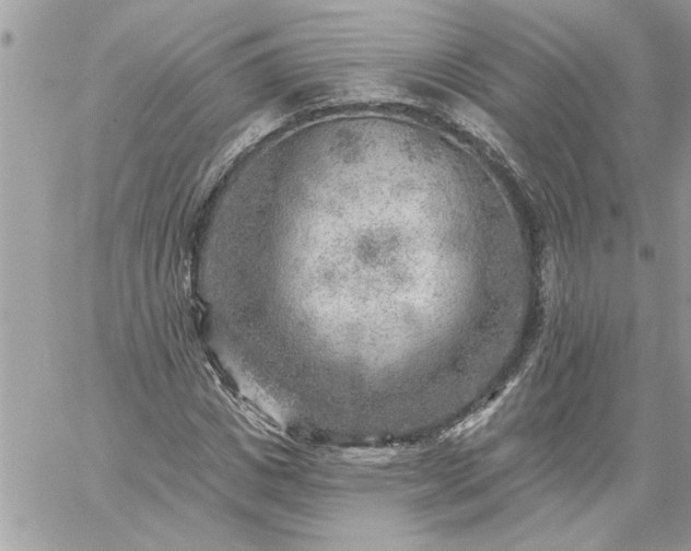 X0000059080825200510172027