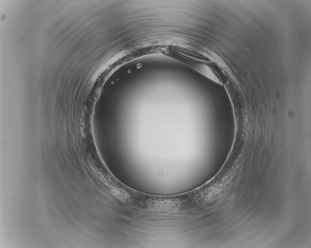 X0000059080826200510172027