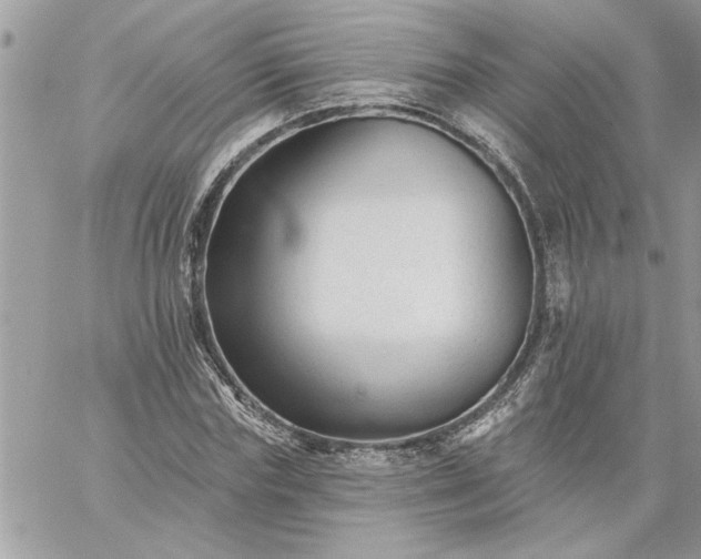 X0000059080827200510172027