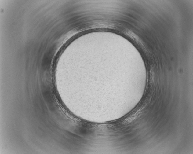 X0000059080828200510172027