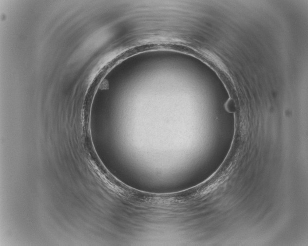 X0000059080831200510172027