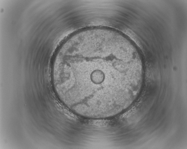 X0000059080832200510172027