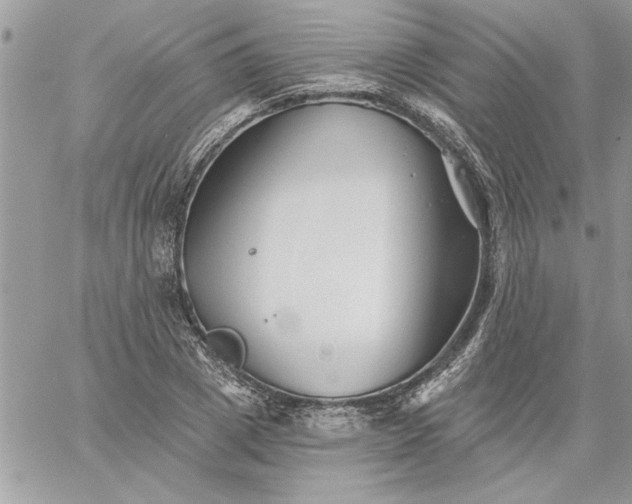 X0000059080833200510172027