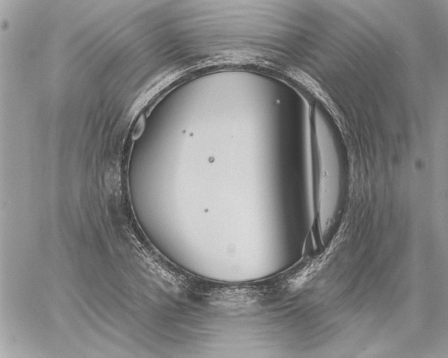 X0000059080834200510172027