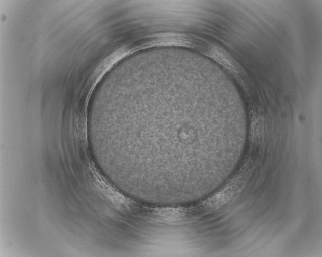 X0000059080836200510172027