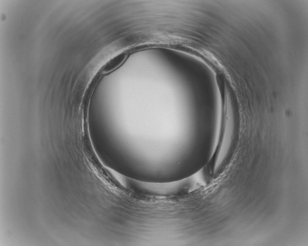 X0000059080838200510172027